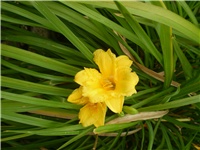 f8f81357-Picture 6342.jpg